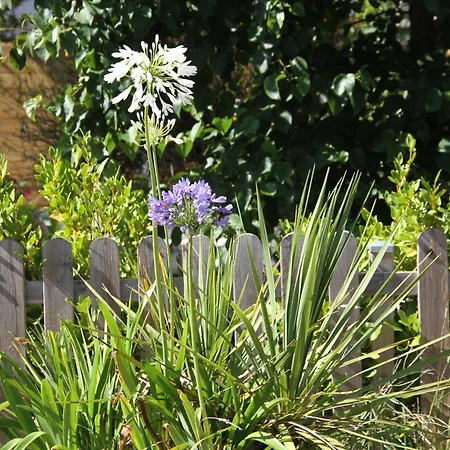 Double Ecrehou Dans Maison, Au Calme Sur Le Gr223 3* Barneville-Carteret