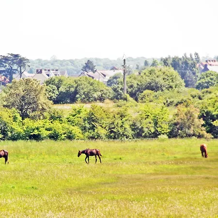 Oda ve Kahvaltı Double Ecrehou Dans Maison, Au Calme Sur Le Gr223 Barneville-Carteret