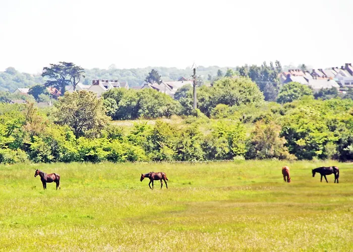 Oda ve Kahvaltı Double Ecrehou Dans Maison, Au Calme Sur Le Gr223 Barneville-Carteret